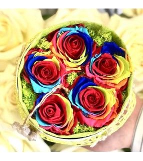 Boite 5 Roses Éternelles Rainbow avec sa mousse d'islande parfumée. AnyFleurs.fr