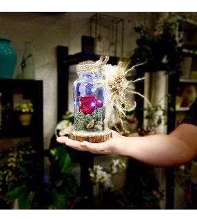 Rose Éternelle Sous Cloche façon artisanale avec ses fleurs séchées et leds "Belle et Bête". AnyFleurs.fr