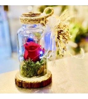 Rose Éternelle Sous Cloche façon artisanale avec ses fleurs séchées et leds "Belle et Bête". AnyFleurs.fr