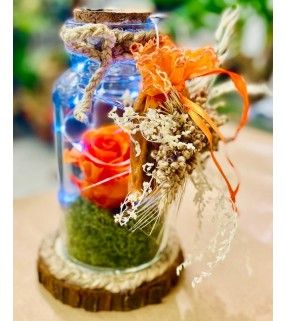 Rose Éternelle Sous Cloche façon artisanale avec ses fleurs séchées et leds "Belle et Bête". AnyFleurs.fr