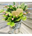 Cactus de Noël blanc-rosé ou Schlumbergera. AnyFleurs.fr