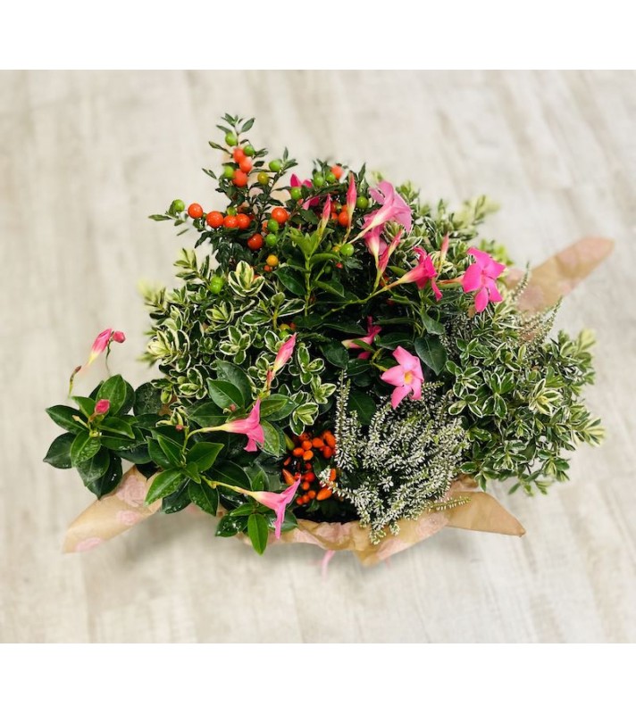 Coupe Plantes Deuil -Any fleurs-fr