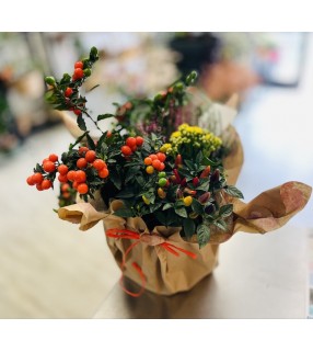 Assemblage Plantes Extérieures résistantes et de différentes variétés "Dans le temps". AnyFleurs.fr