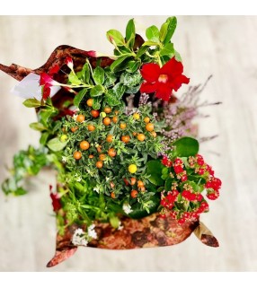 Coupe Plantes Deuil -Any fleurs-fr