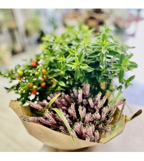 Coupe Plantes Deuil -Any fleurs-fr