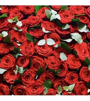 Bouquet Roses rouges "Douceur nacrée". AnyFleurs.fr