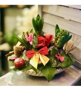 Coupe 3 jacinthes en Pot Béton avec décoration Noël. "Noël vert". AnyFleurs.fr