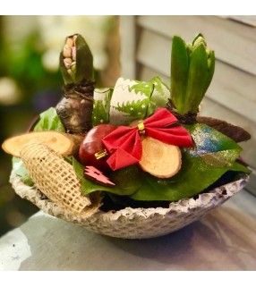 Coupe 2 jacinthes en Pot Béton avec décoration Noël" Noël en vert". AnyFleurs.fr