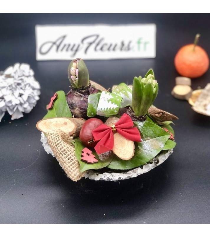 Coupe 2 jacinthes en Pot Béton avec décoration Noël" Noël en vert". AnyFleurs.fr Coupe 2 jacinthes en Pot Béton avec décoration Noël" Noël en vert". AnyFleurs.fr