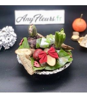 Coupe 2 jacinthes en Pot Béton avec décoration Noël" Noël en vert". AnyFleurs.fr