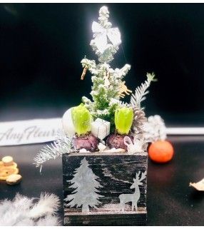 Jacinthes en Pot Noël avec son mini-sapin"Mon Noël Blanc". AnyFleurs.fr