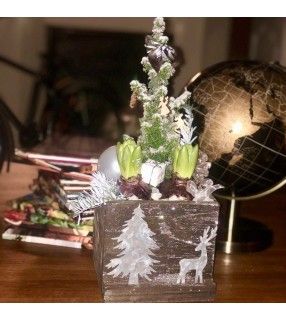 Jacinthes en Pot Noël avec son mini-sapin"Mon Noël Blanc". AnyFleurs.fr