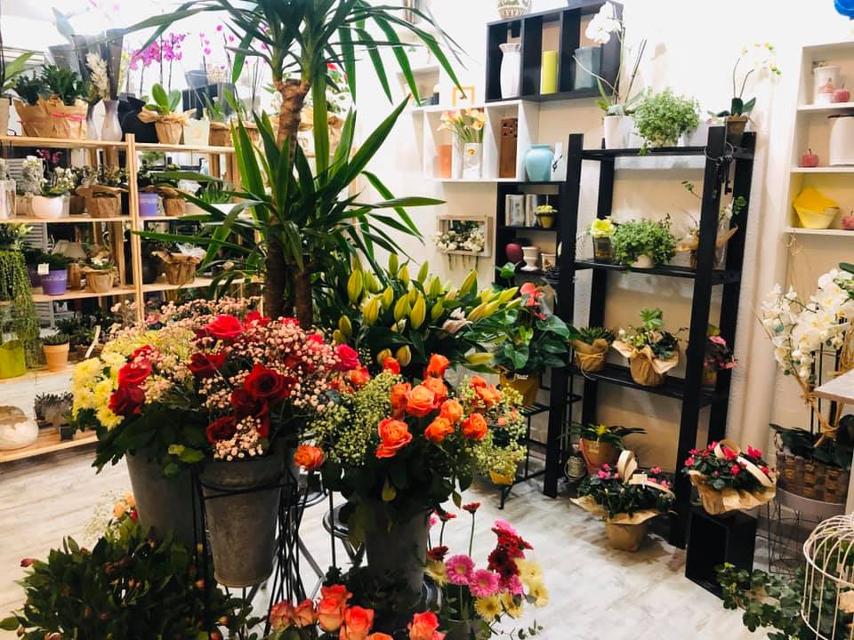 any fleurs interieur magasin
